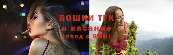 гидропоника Богородск
