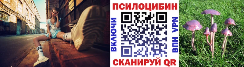 блэк спрут зеркало  Чита  Псилоцибиновые грибы MAGIC MUSHROOMS 